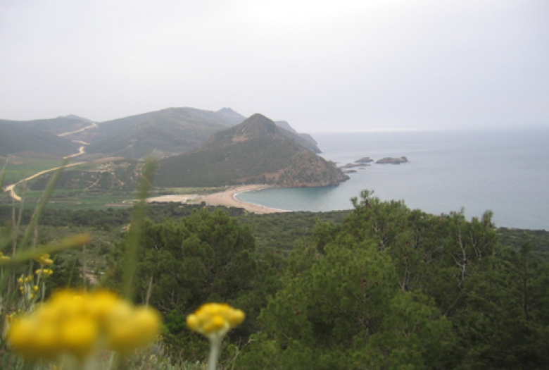 Appui au développement du Commissariat national du littoral - Image -