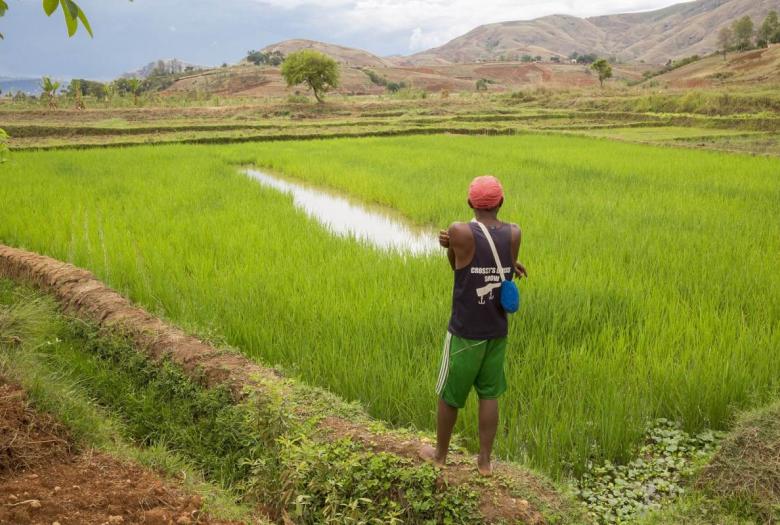 improving land tenure security, producers, farmers, Madagascar