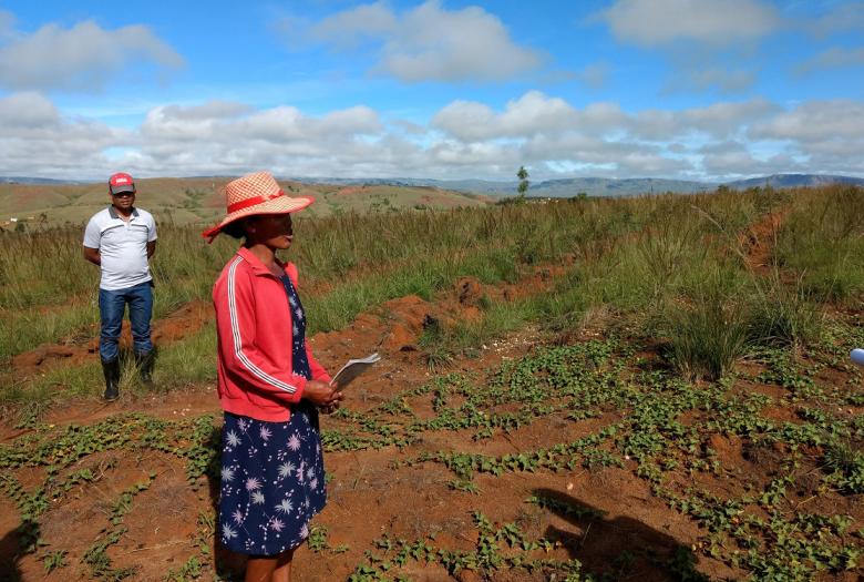 Madagascar, terres