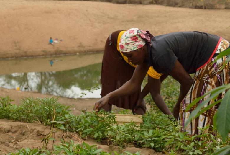 agriculture, Limpopo National Park, Mozambique