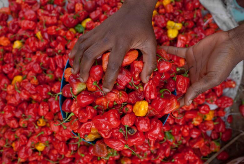 Agriculture au Cameroun