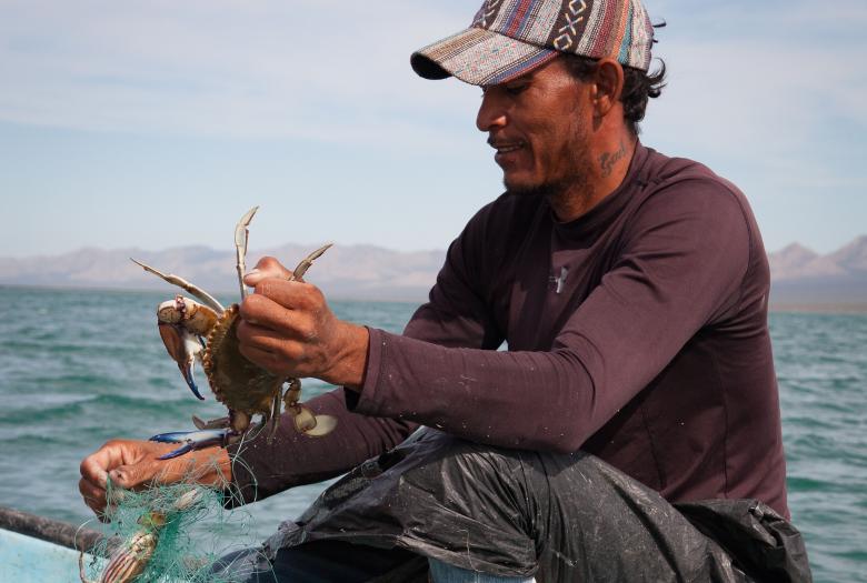 Biodiversité dans les secteurs de la pêche et de l'agriculture