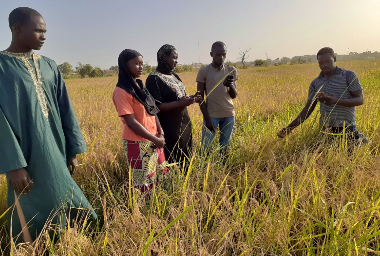 AFD appui les organisations paysannes au Burkina et en Guinée