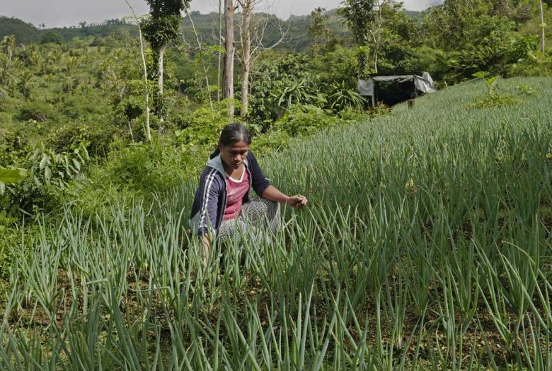 Support for national reform program to combat climate change in the Philippines