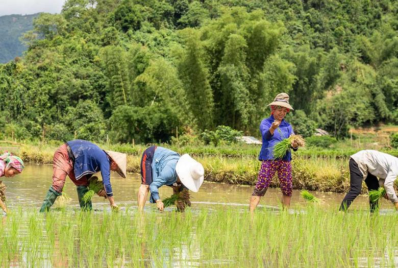 Le projet vise à accélérer la mise en œuvre de politiques et de pratiques d’adaptation qui soient inclusives et transforment les normes de genre, en Amérique latine et en Asie.