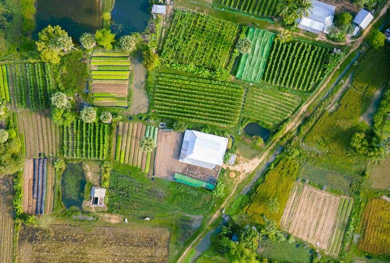 Ce projet vise à renforcer et pérenniser la démarche multi-acteurs pour un développement agricole durable