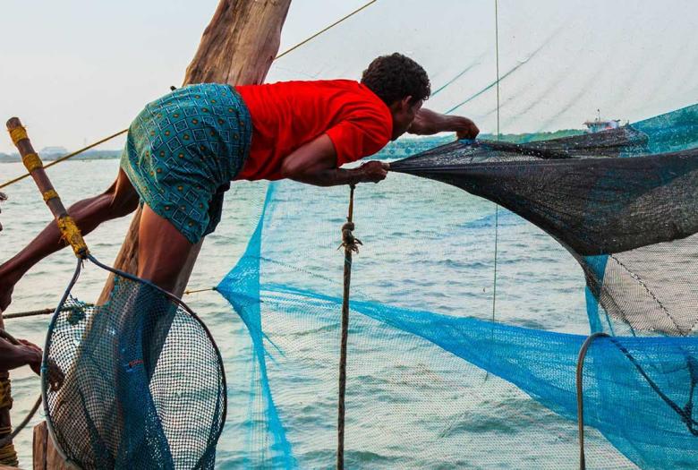 The project is supporting the recovery of the fisheries sector for micro and small businesses through increased access to credit and insurance systems, improved value chains and improved safety of fishery and aquaculture products. 