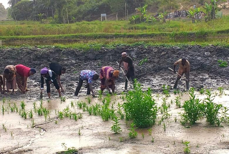 Ce projet vise à contribuer à une augmentation durable de la production du poisson et à une réduction de l’insécurité alimentaire en Côte d'Ivoire