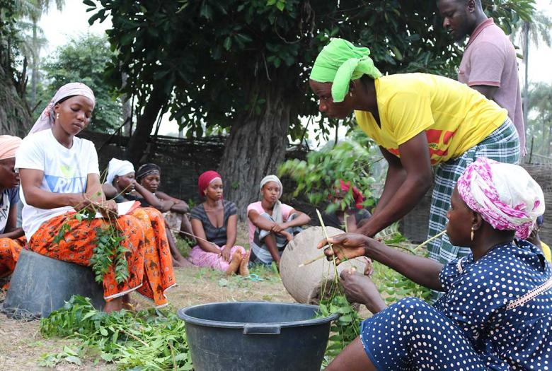 Le projet contribue aux transitions écologiques et productives des territoires enclavés de la Casamance, à travers le développement de nouveaux services financiers et non-financiers.