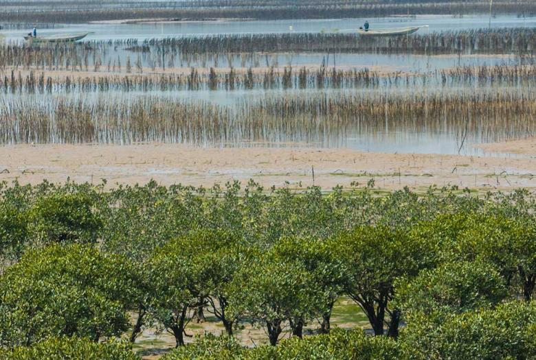 Le projet vise à soutenir la  mise en place d’une gestion intégrée de la zone côtière de Fuding en Chine, conforme aux meilleures pratiques internationales, des hauts bassins versant aux écosystèmes côtiers de mangroves et jusqu’à la mer.