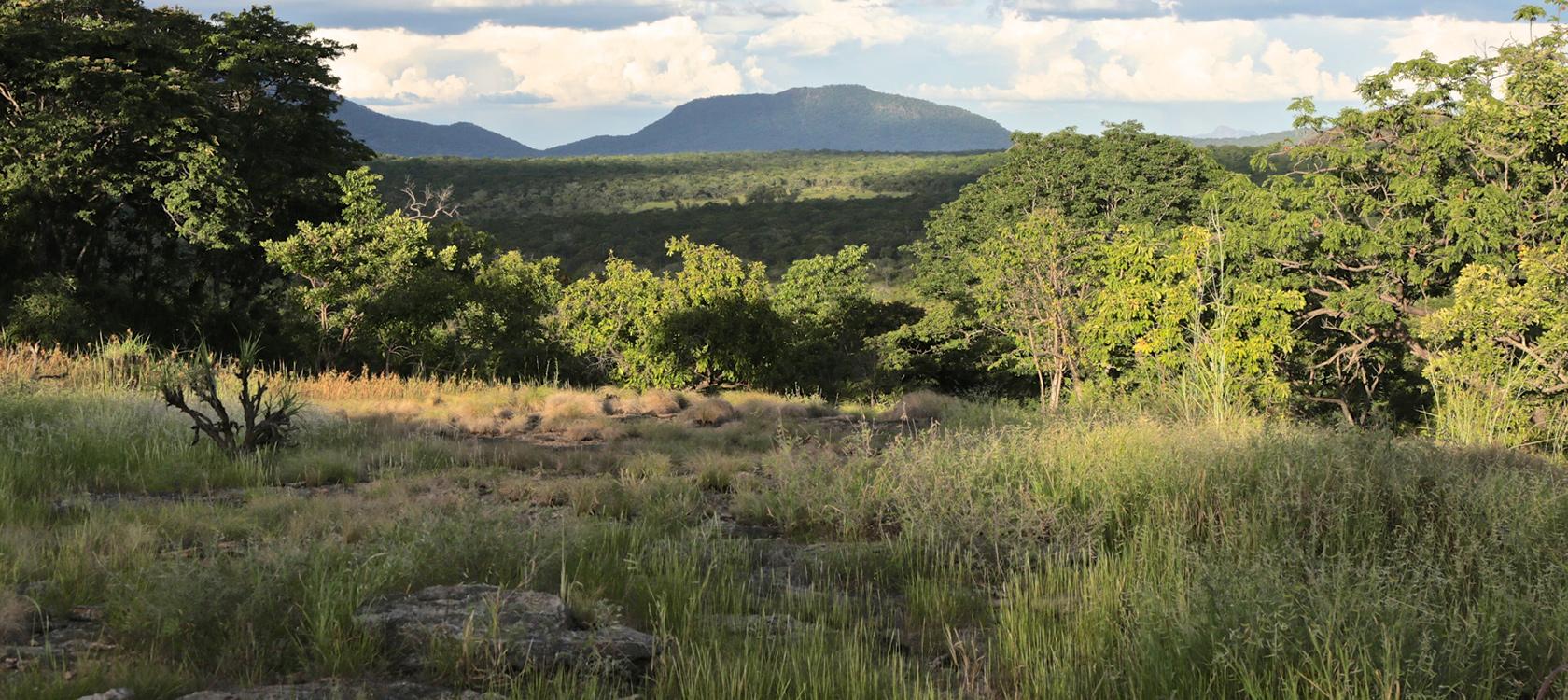 Moçambique, Niassa, biodiversidade, paisagem