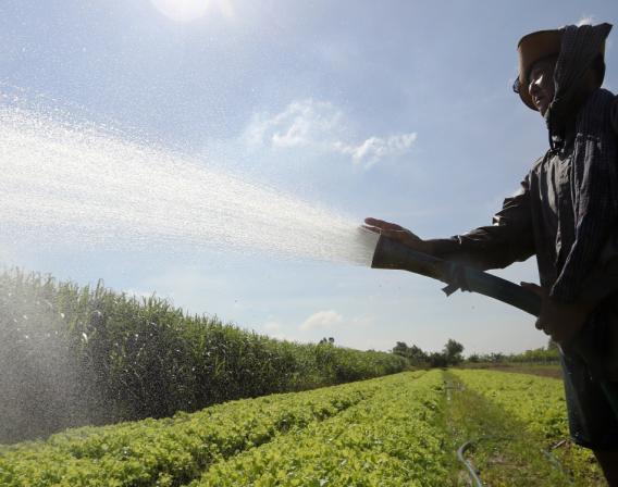 Cambodia, farmer, irrigation, AFD
