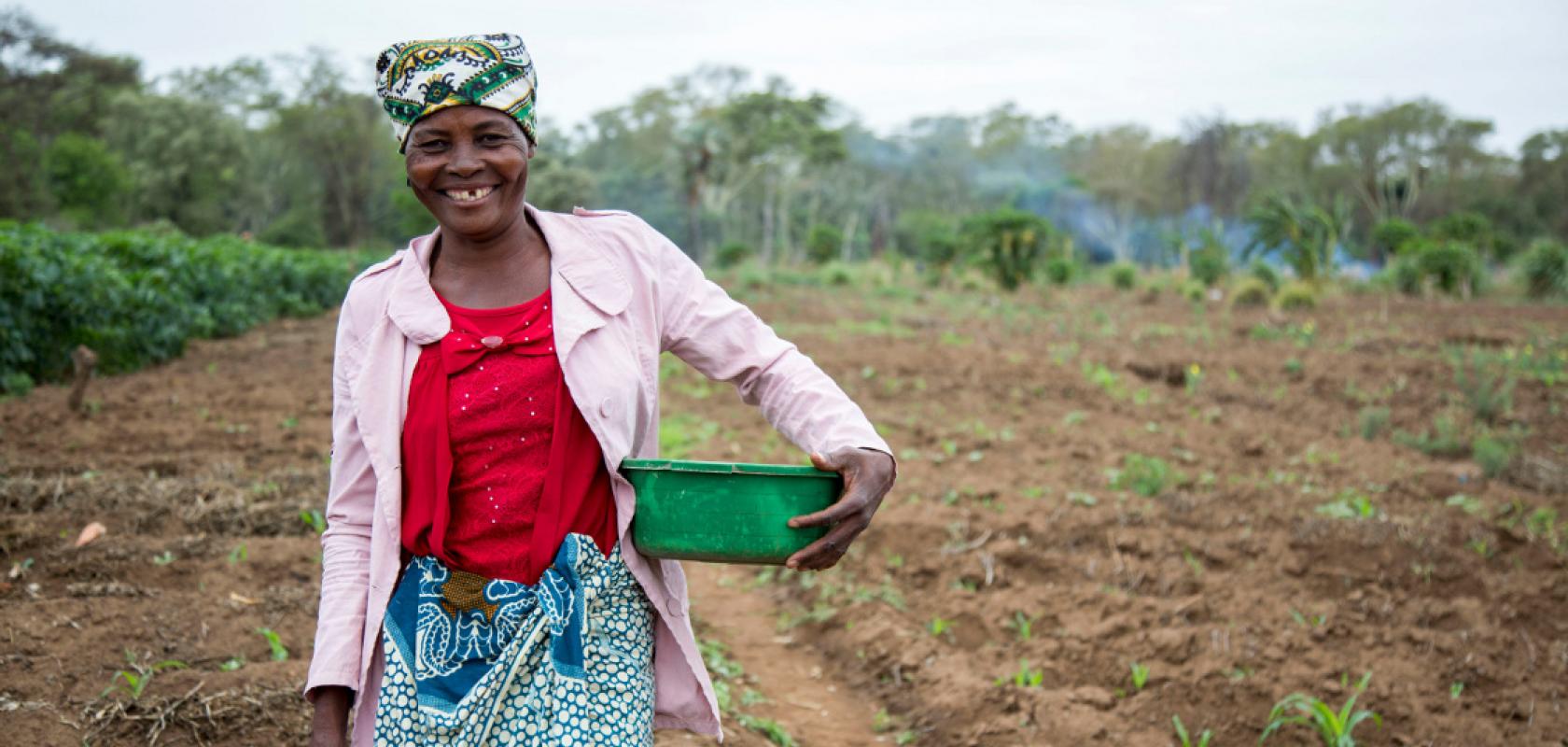 women, field, limpopo, mozambique