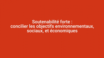 Soutenabilité forte