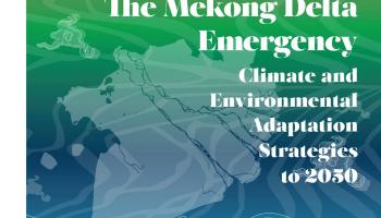 The Mekong Delta Emergency – Climate and Environmental Adaptation Strategies to 2050