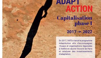 AdaptAction - Capitalisation phase 1