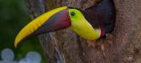 Costa Rica et région Sud PACA : au Congrès mondial de la nature, un partenariat au service de la biodiversité