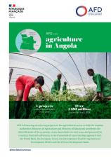 AFD and Agriculture in Angola