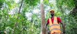 Gabon: Exploiting Forests without Destroying them