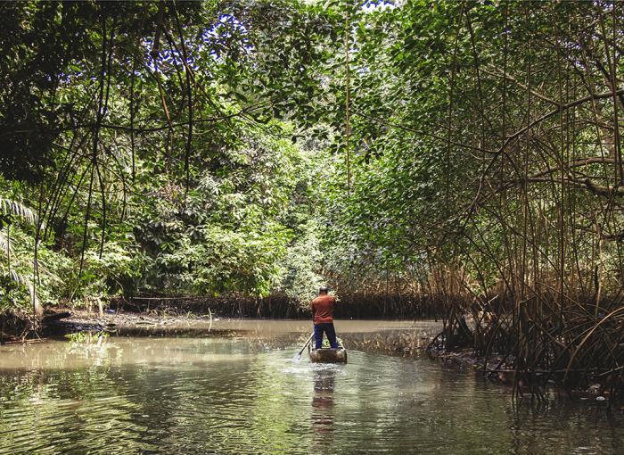 Surrounded by Mangroves in Gabon's Akanda National park, a nature-based protector of biodiversity