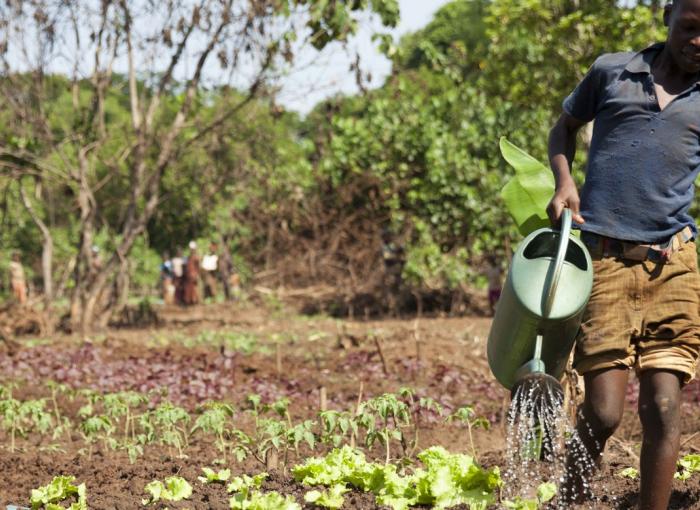 Agricultura