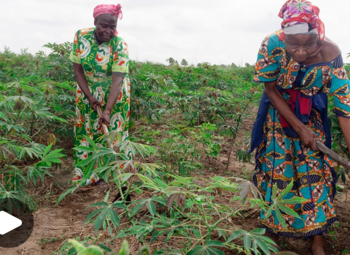 action sociale congo femmes agriculture