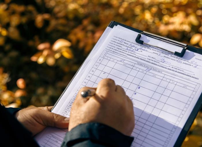 finanzas forestales biodiversidad naturaleza sistema financiero