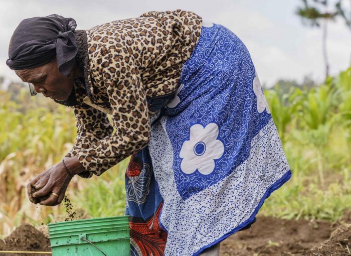 Agriculture Tanzanie