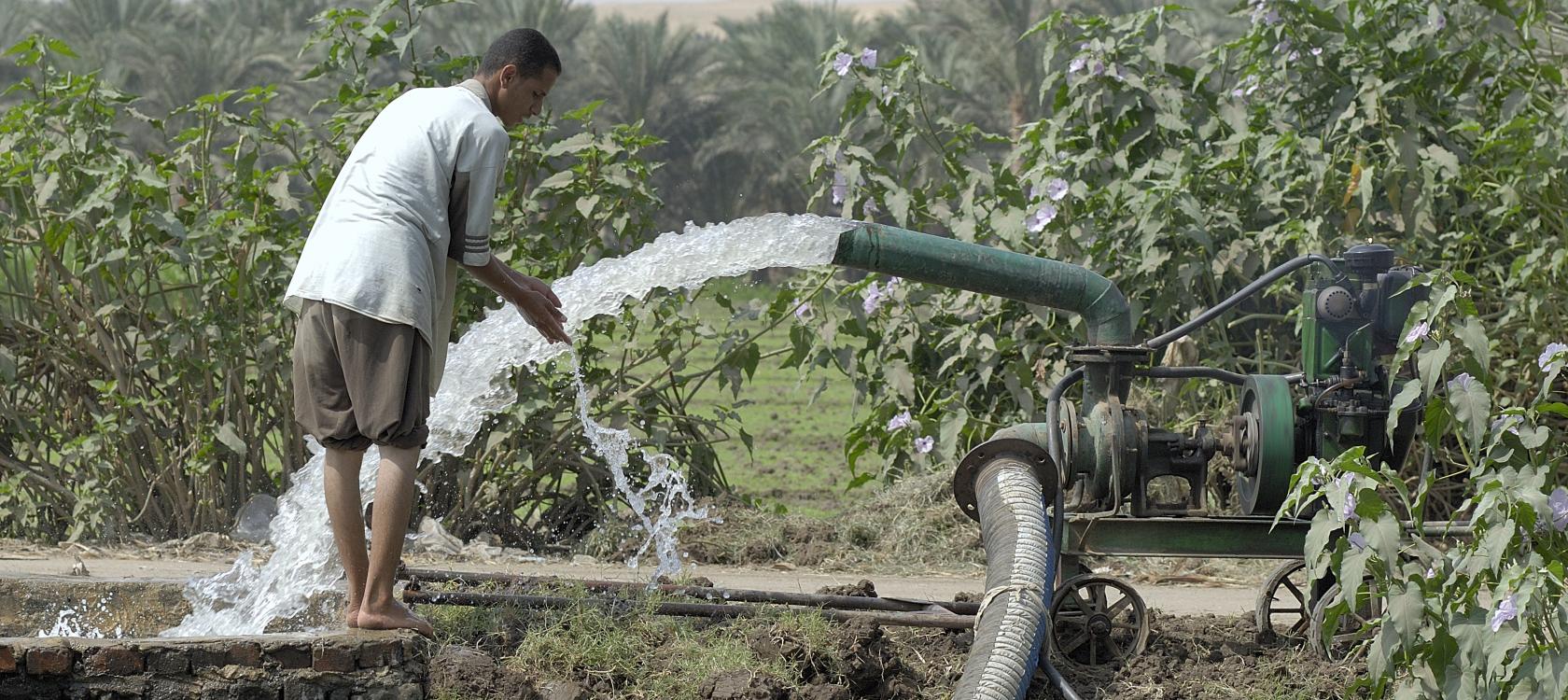Irrigation, Egypt