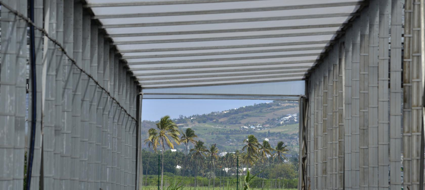 Akuo Energy, énergie renouvelable, La Réunion