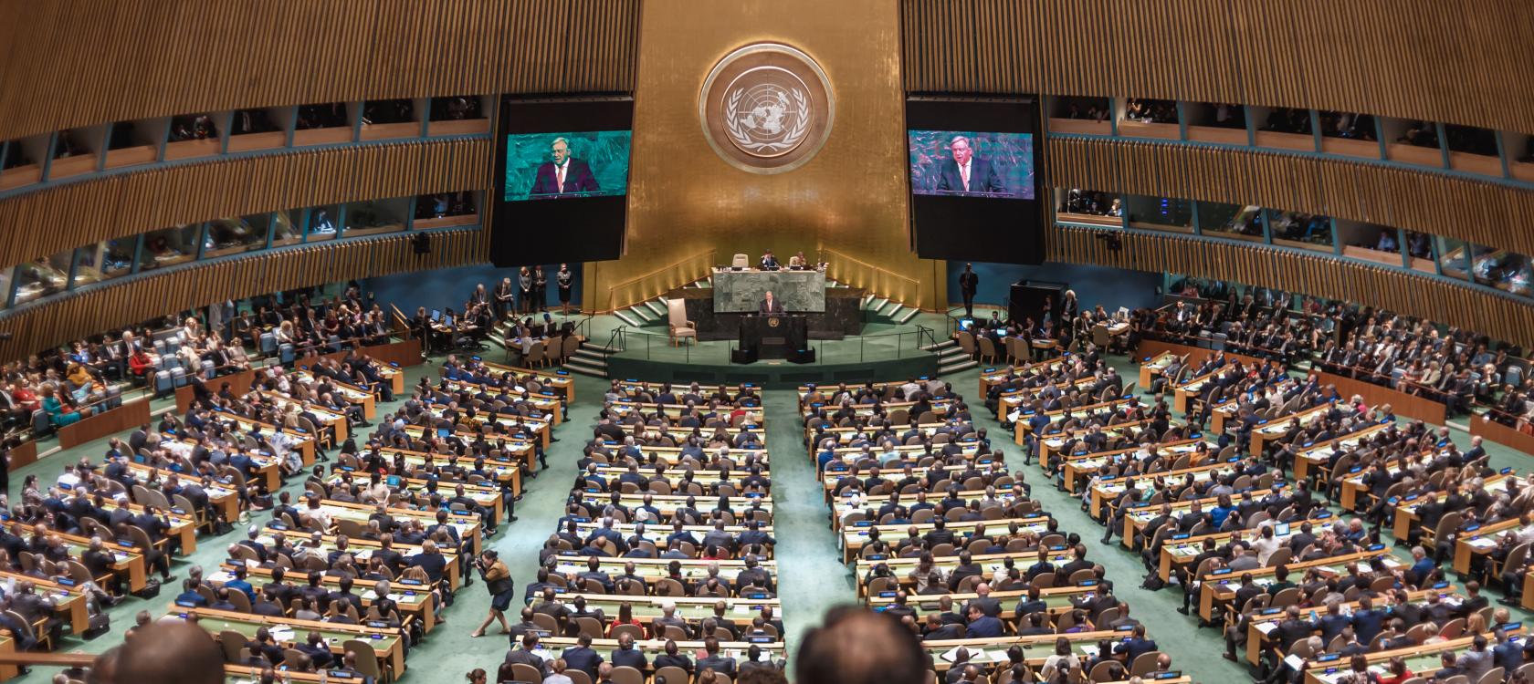 General Assembly of the United Nations