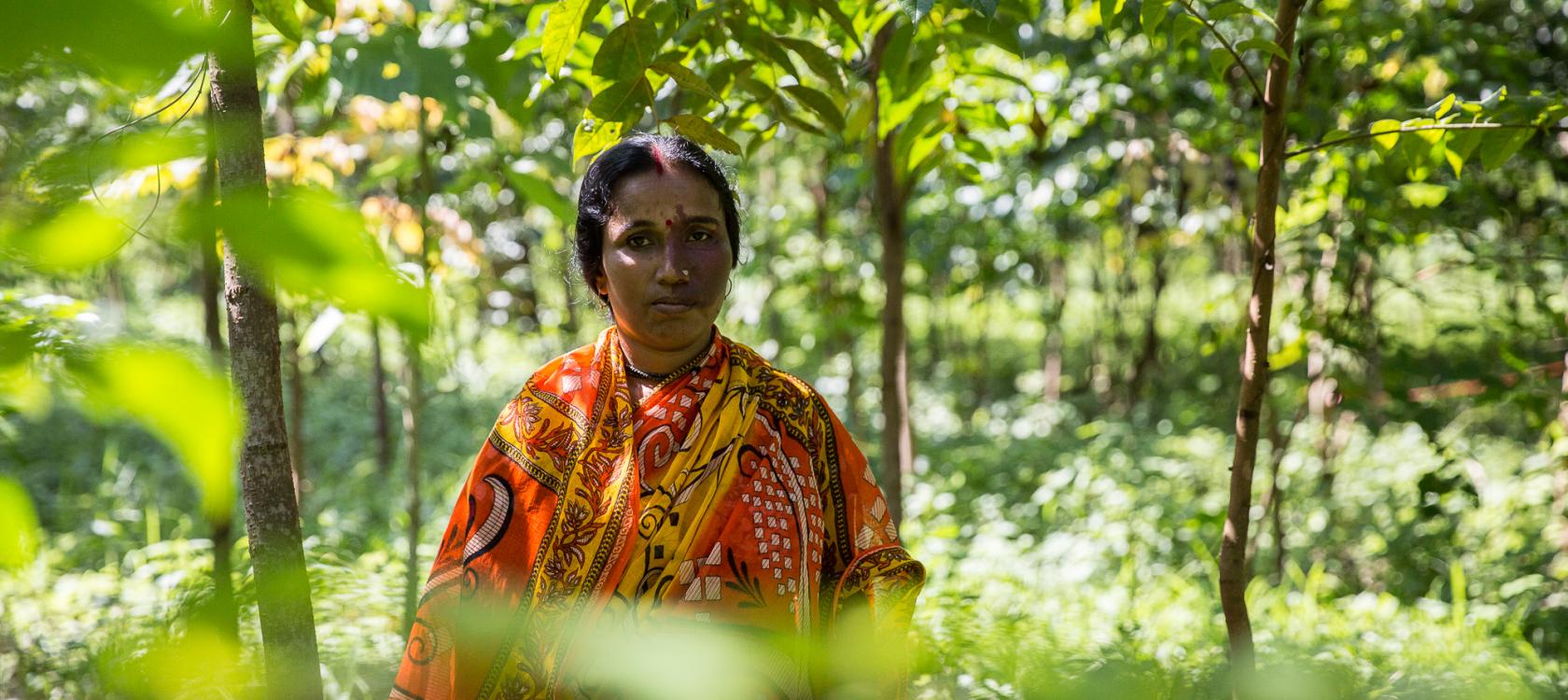 Femme, Assam, nature, biodiversité, Inde
