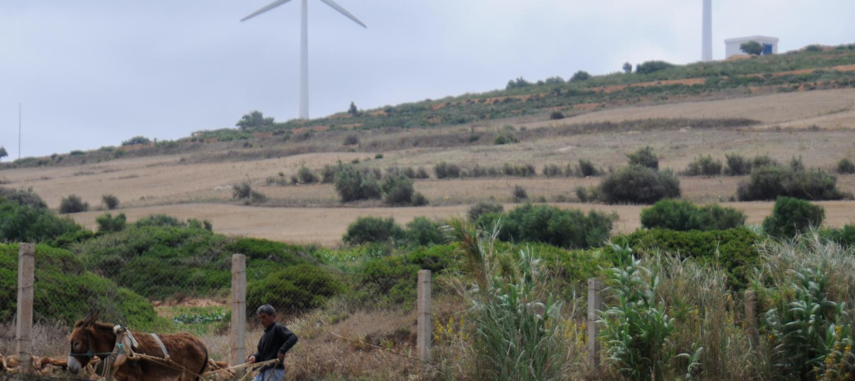 Wind turbine farm#2 Tunisia. Photo: Dana Smillie / World Bank