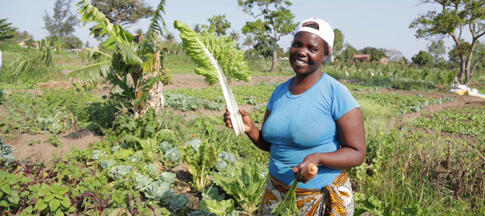 agriculture, ESSOR, mozambique, ONG
