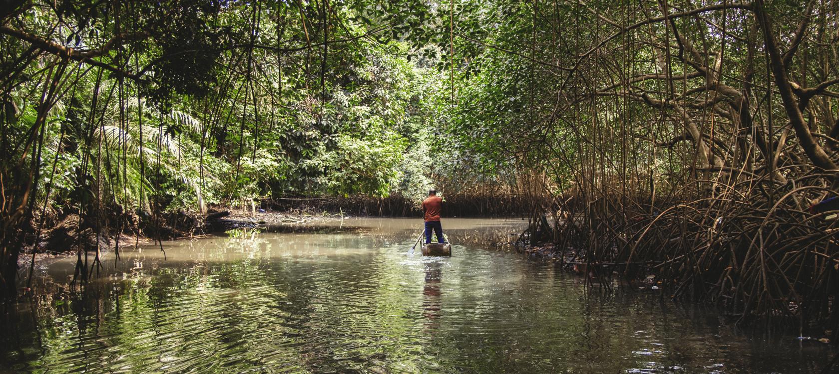 Contrôler l’aménagement durable de la forêt gabonaise