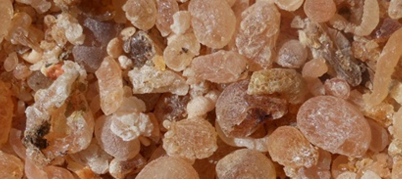 Projet d’Appui à la Filière Gomme Arabique - Samoukhna