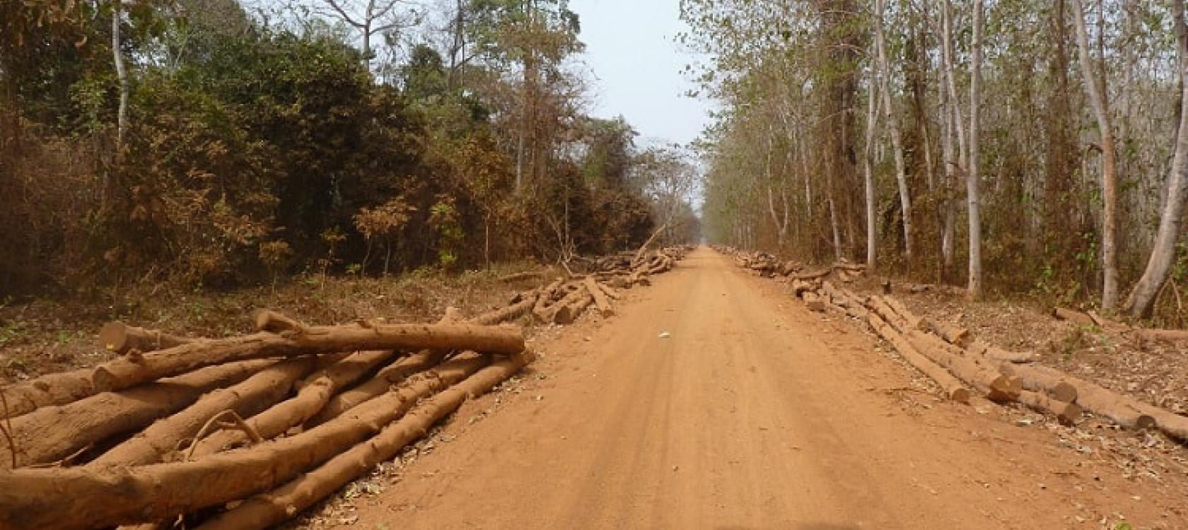 Conformo, projet gestion forêt durable, Bénin