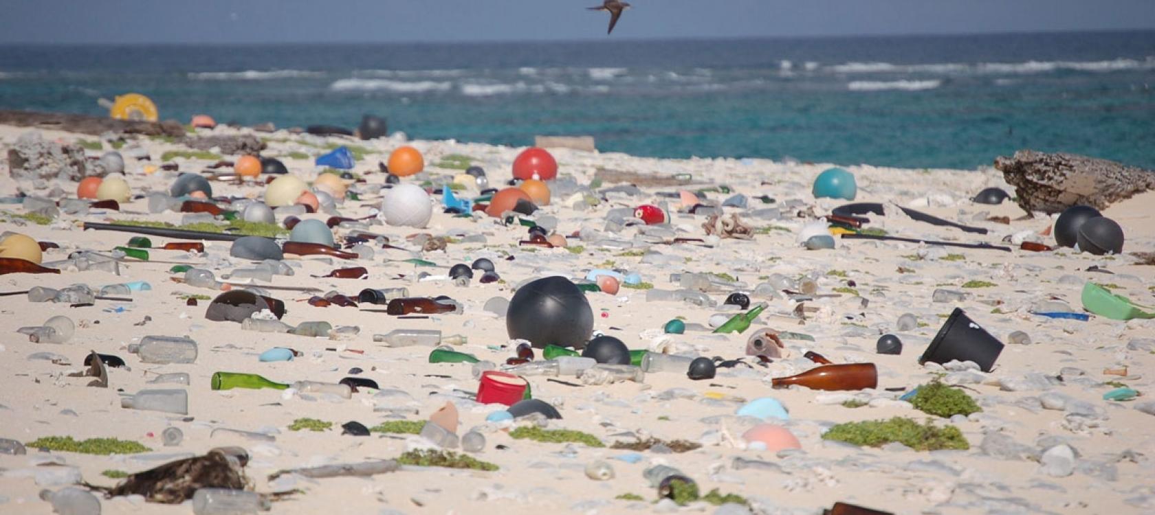 plage, débris, Hawaï, pollution, océans