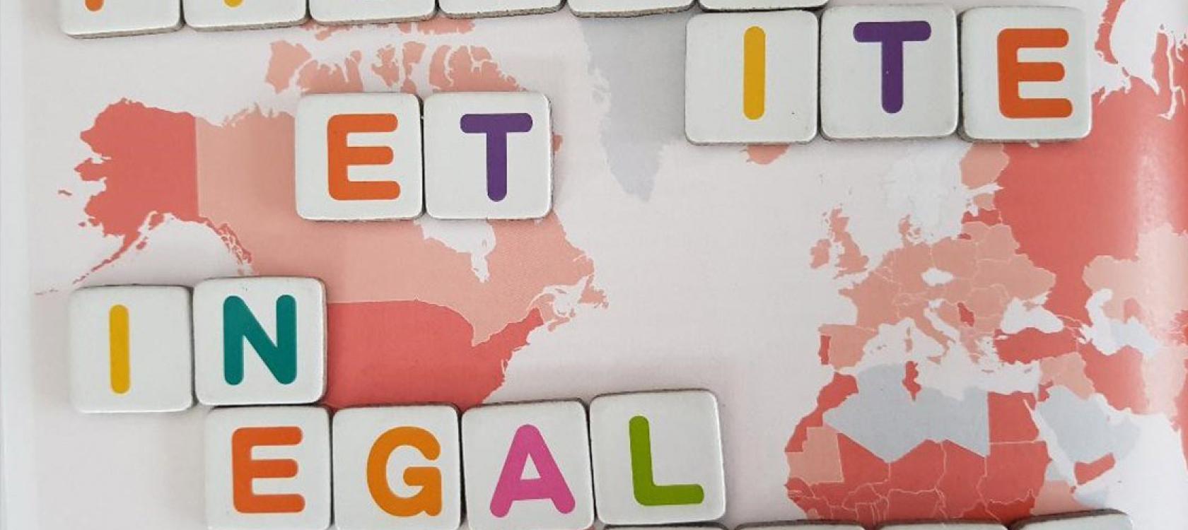 Role of taxation in the fight against inequalities