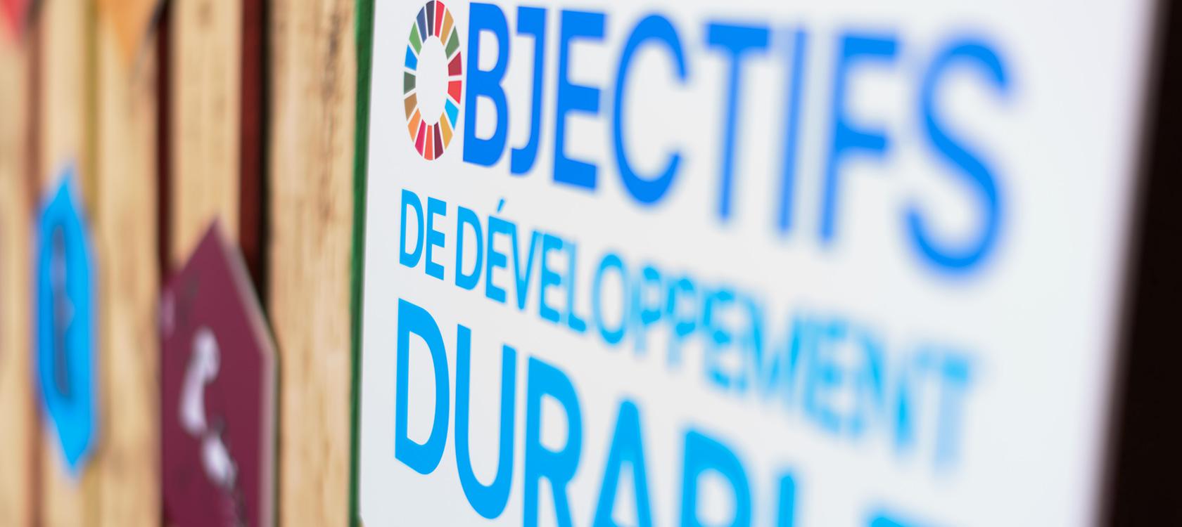 Objectifs de développement durable (ODD)