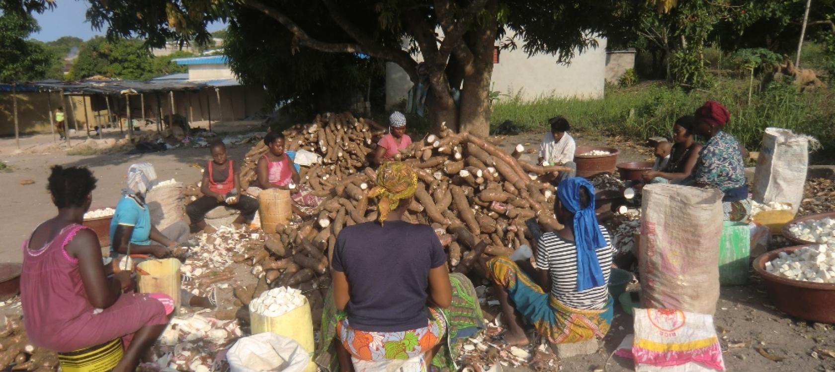 Agrovalor : valorisation énergétique de déchets agroindustriels
