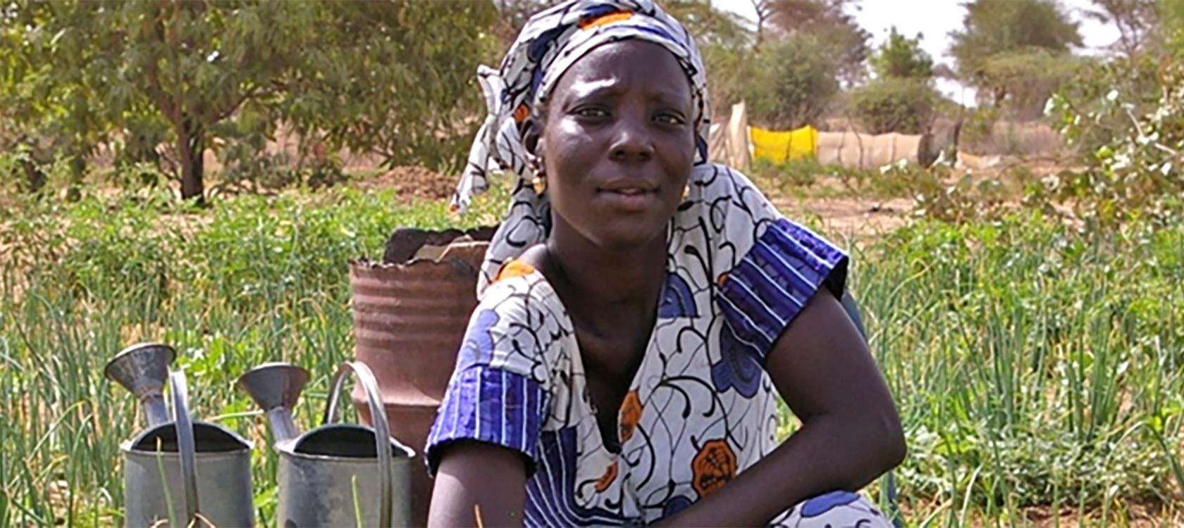 Agriculture durable et dynamiques territoriales dans les pays du Sud