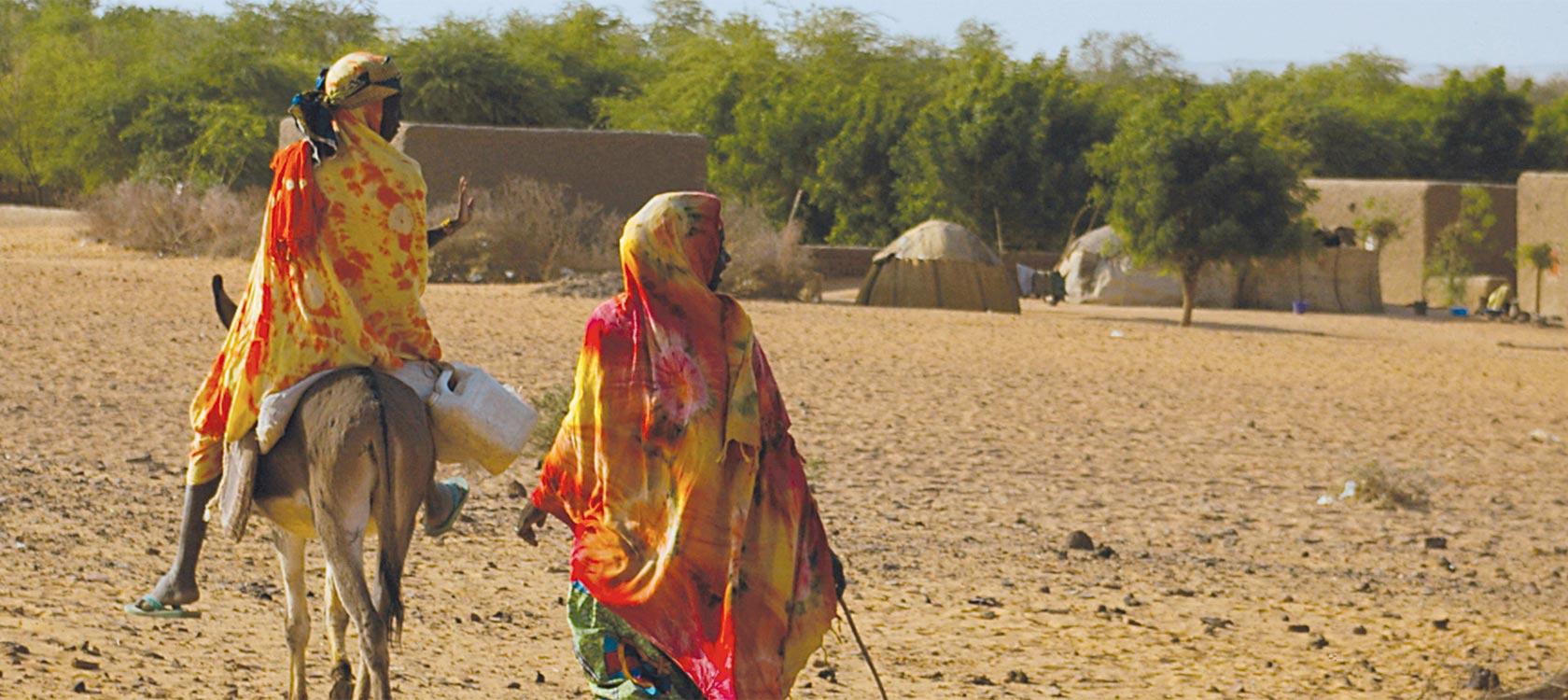 Appuyer la société civile pour lutter contre la désertification au Sahel