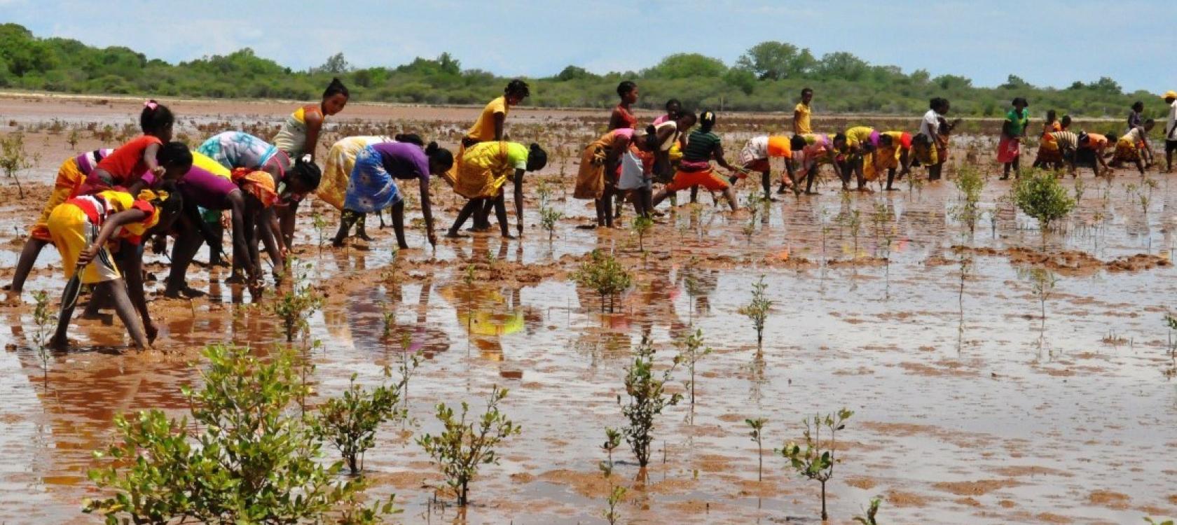 Vers un New Deal pour la Nature et pour l’Homme