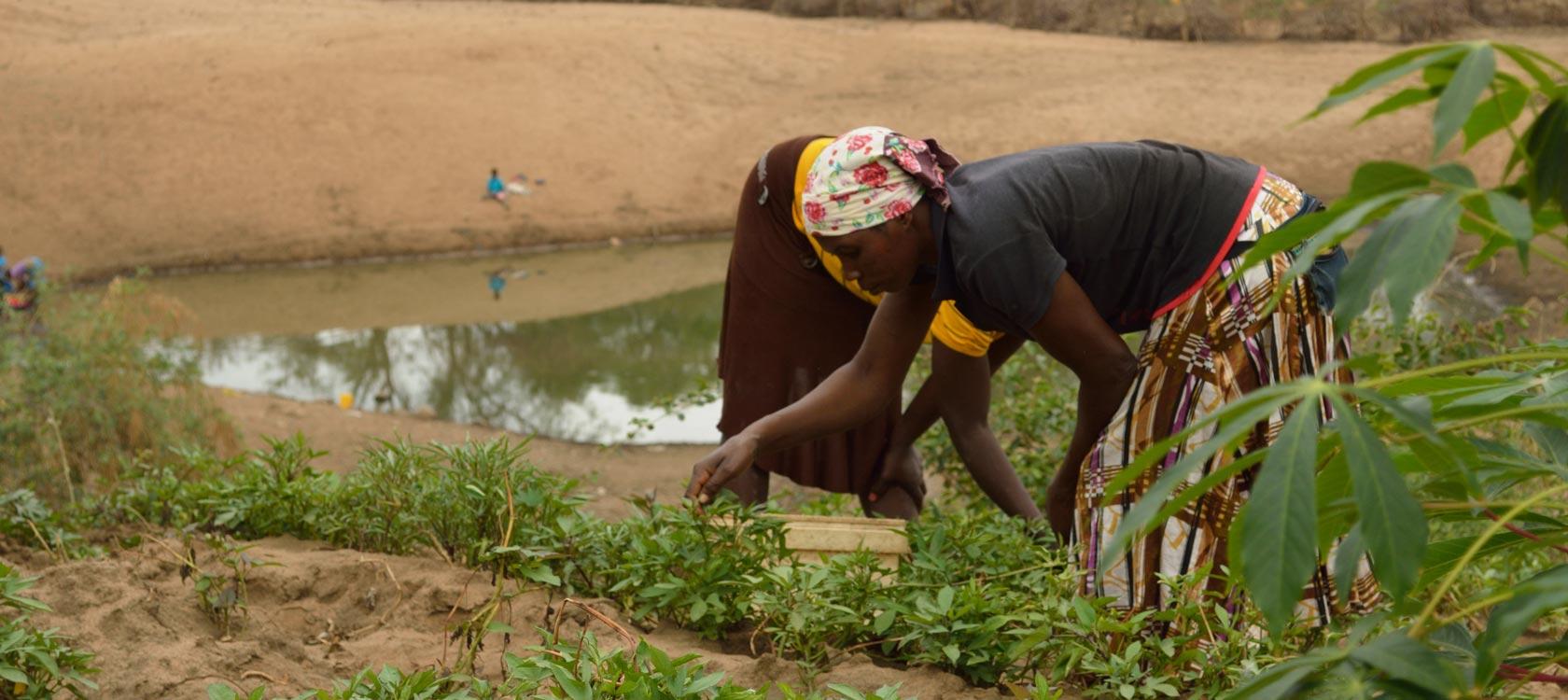 agriculture, Limpopo National Park, Mozambique