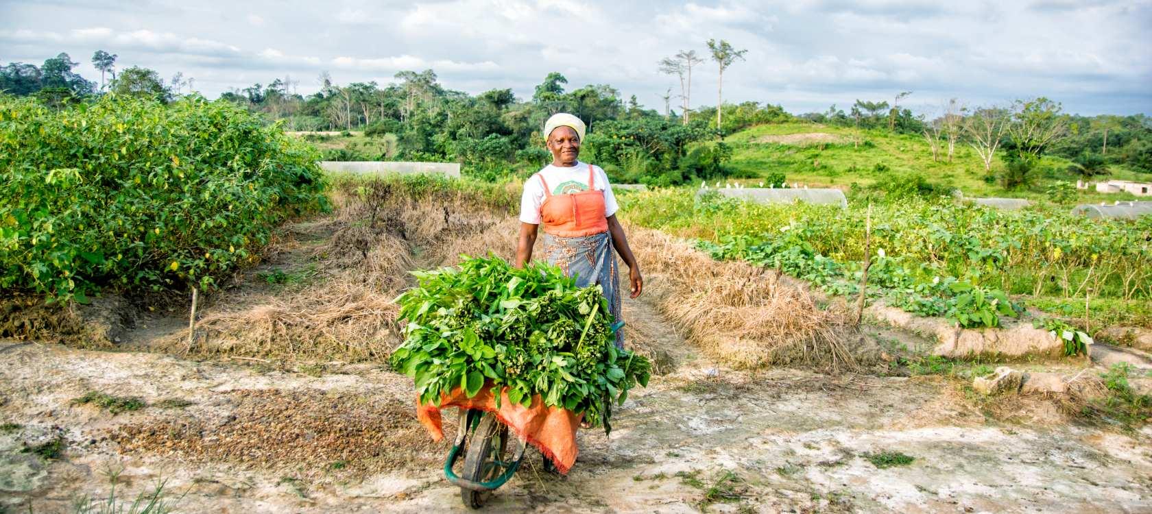 Agricultura y desarrollo rural, mujer, Gabón