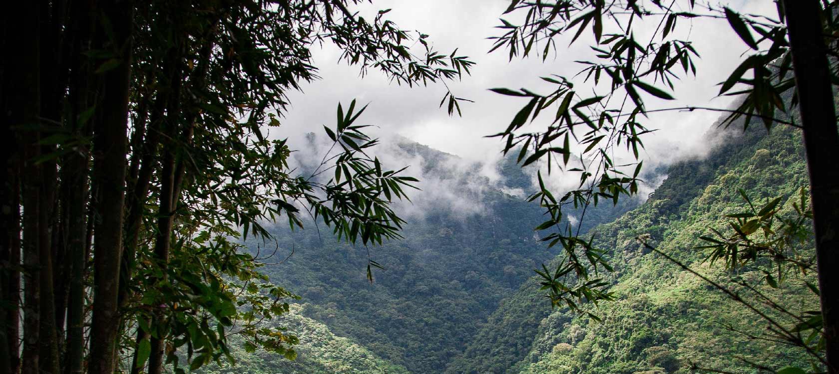 Comment accélérer la transition territoriale et écologique ? 