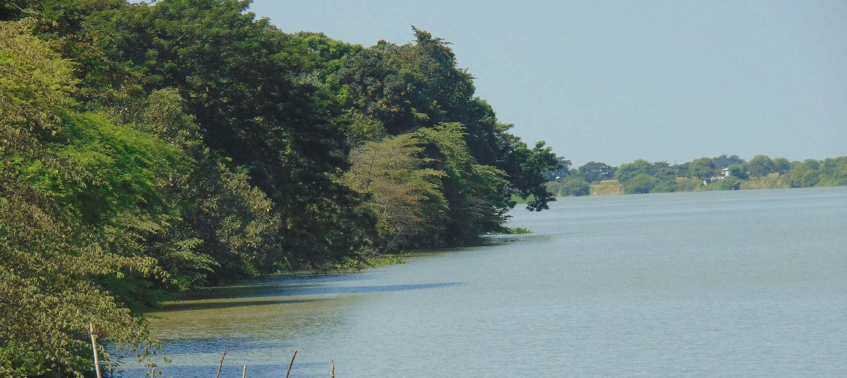 Ecuador: Proteger la cuenca del rio Daule