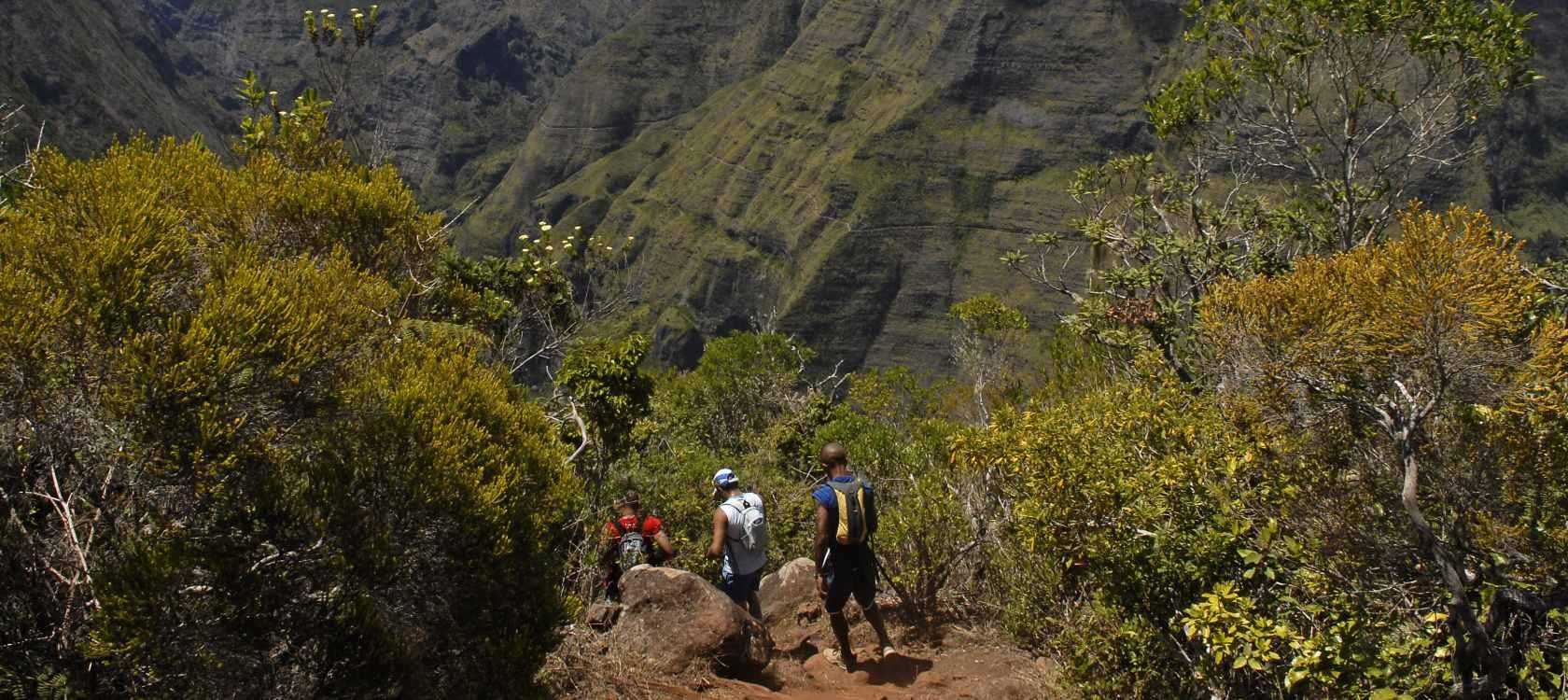 Protéger une biodiversité remarquable