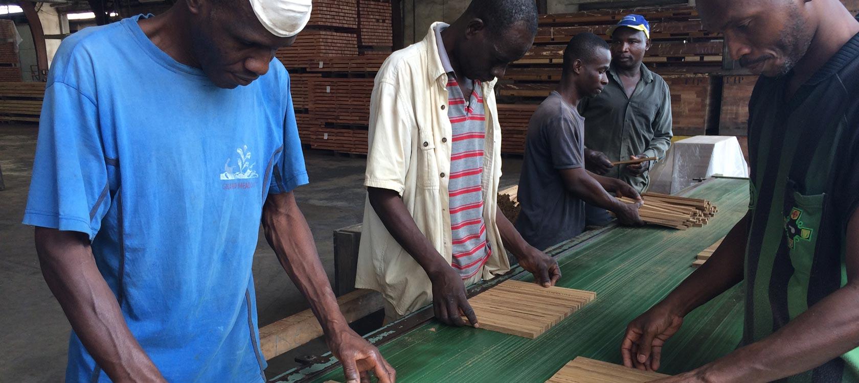 STRIVE : Insertion socio-professionnelle des jeunes et développement de filières agricoles rémunératrices au Libéria